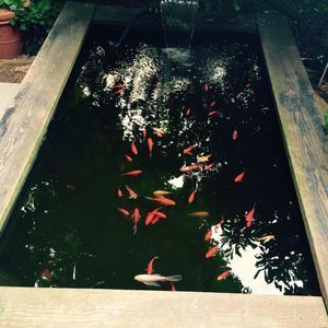 Meet your Posher, Ousmane